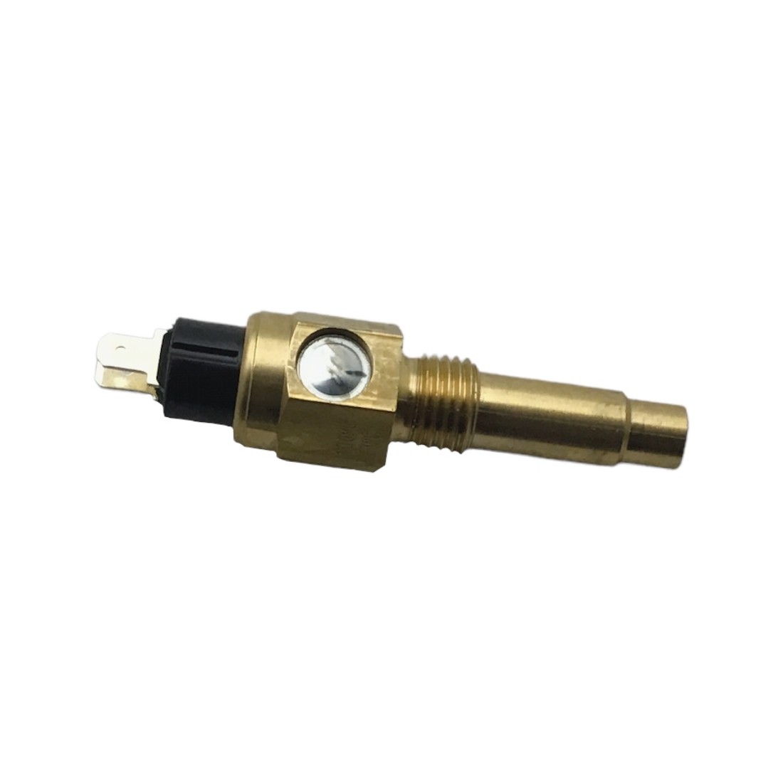 Water Temperature Sensor Iveco Fpt