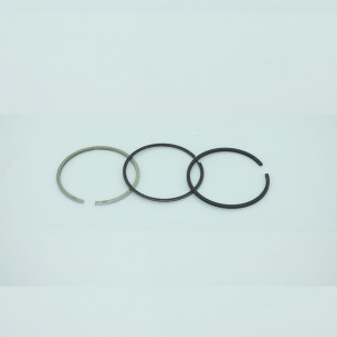 CONJUNTO DE SEGMENTOS +0,25 LOMBARDINI: LDW 442