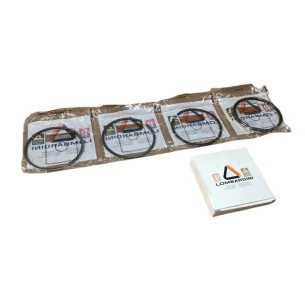 CONJUNTO DE SEGMENTOS +1,00 LOMBARDINI: 7LD600