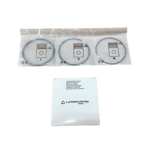 CONJUNTO DE SEGMENTOS +1,00 LOMBARDINI: 6LD400,6LD435