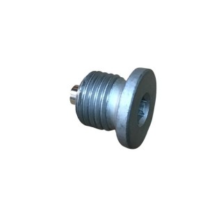TAPON SALIDA ACEITE LOMBARDINI: LDW 442