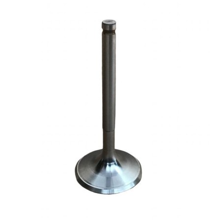 LOMBARDINI EXHAUST VALVE: 25LD425-2