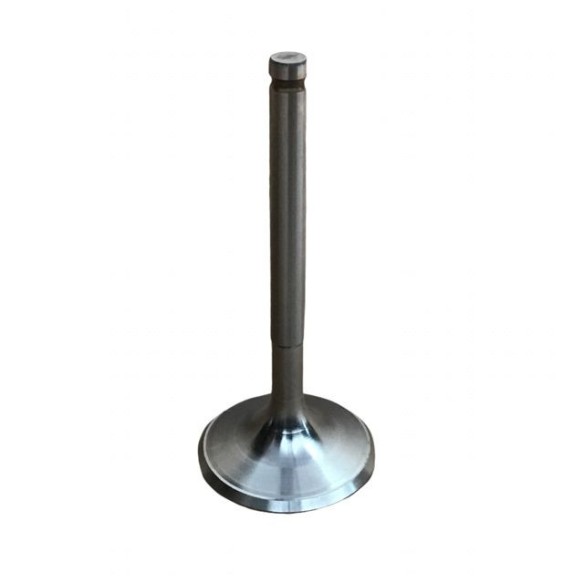 LOMBARDINI EXHAUST VALVE: 25LD425-2