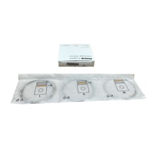 CONJUNTO DE SEGMENTOS LOMBARDINI D80: 25LD330-2