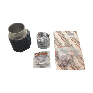 KIT MOTEUR LOMBARDINI 9LD 561-2 JUPE 100MM