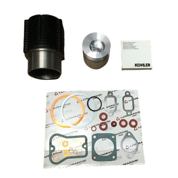 EQUIPO MOTOR LOMBARDINI 5LD 825 FALDA DE 110mm VARILLAS WITH MUELLES