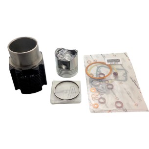 MOTOR LOMBARDINI LDA 672