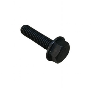 PARAFUSO LOMBARDINI ED0017601620-S