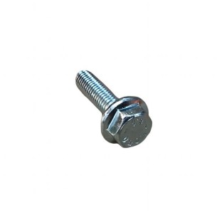 SCHRAUBE M 8X1,25X30 LOMBARDINI ED0017701550-S