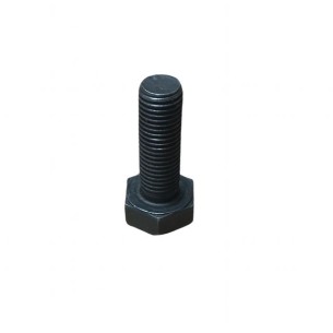 SCREW M 10X30 LOMBARDINI ED0017800970-S