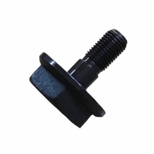 PARAFUSO LOMBARDINI ED0018610190-S