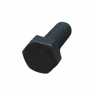 LOMBARDINI-SCHRAUBE ED0018050250-S