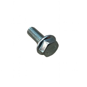 SCHRAUBE M 8X1,25X22 LOMBARDINI ED0017701500-S