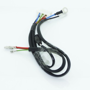 INSTALLATION ÉLECTRIQUE LOMBARDINI 3LD (VERSION STD)