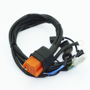 INSTALLATION ÉLECTRIQUE LOMBARDINI 11LD 522-3, 12LD 477-2, 25LD, RUGGERINI MD, RD