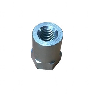 LOMBARDINI PORCA LONGA ED0033002270-S