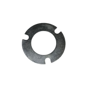 LOMBARDINI-SCHEIBE ED0063200360-S