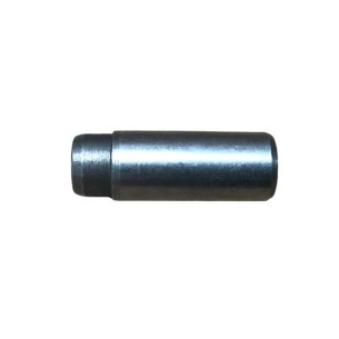 LOMBARDINI-VENTILFÜHRUNG ED0048452820-S