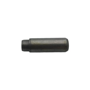 LOMBARDINI-VENTILFÜHRUNG ED0048452270-S