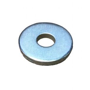 ARRUELA LOMBARDINI ED0074950100-S