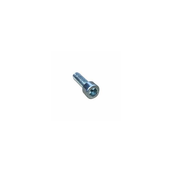 TORNILLO M 6 X 20 LOMBARDINI ED0097300120-S