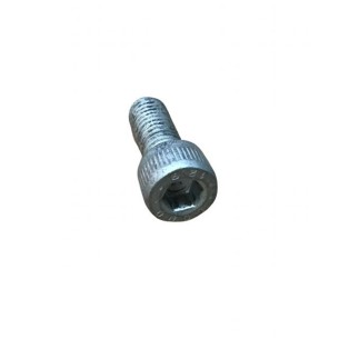 SCREW M 8 X 20 LOMBARDINI ED0097300260-S