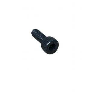 SCREW M 6 X 25 LOMBARDINI ED0097320780-S