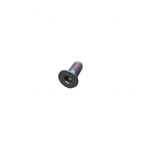 PARAFUSO LOMBARDINI ED0098001620-S