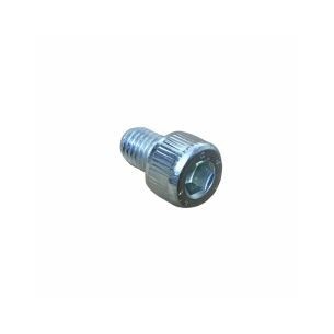 SCREW M 8 X 12 LOMBARDINI ED0097310300-S