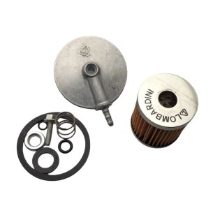 KIT DE FILTRE À DIESEL POUR RÉSERVOIR LOMBARDINI 3LD, 4LD, 5LD, 9LD, 12LD
