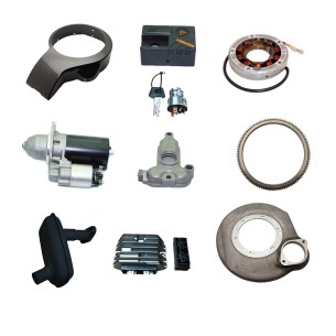 LOMBARDINI 3LD ELECTRICAL STARTER KIT