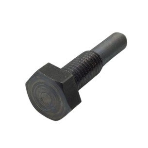 ZENTRALE STÜTZSCHRAUBE (KURZ) LOMBARDINI 9LD