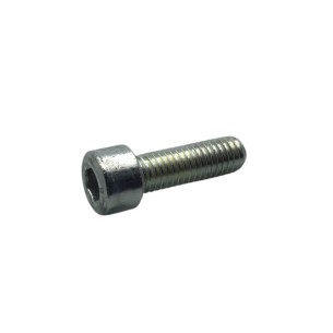 SCREW M 8 X 25 LOMBARDINI ED0097301000-S