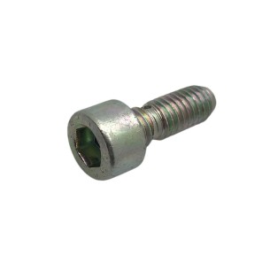 SCREW M 6 X 16 LOMBARDINI ED0097301090-S