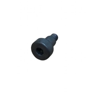 SCREW M 3 X 10 LOMBARDINI ED0098652020-S