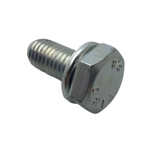 SCHRAUBE M 10X1,25X22 LOMBARDINI ED0017800040-S