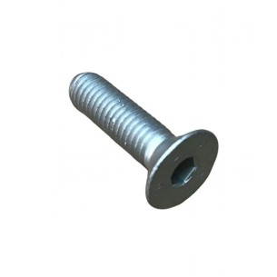 PARAFUSO ENCAREADO M 8 X 30 LOMBARDINI ED0098000550-S