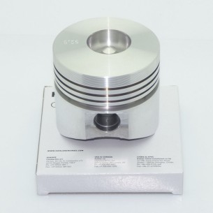 PISTON LOMBARDINI 6502064