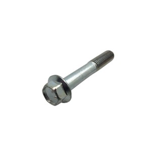 PARAFUSO LOMBARDINI ED0017702250-S