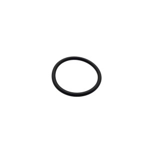 LOMBARDINI O-RING GUMMI ED00579R0720-S