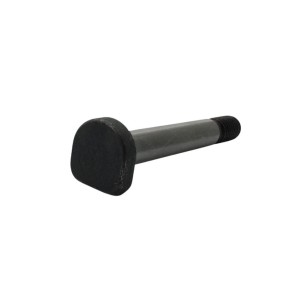 LOMBARDINI-SCHRAUBE ED0018600070-S