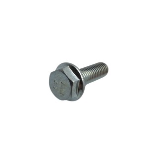 SCREW M 8X1.25X25 LOMBARDINI ED0017701560-S