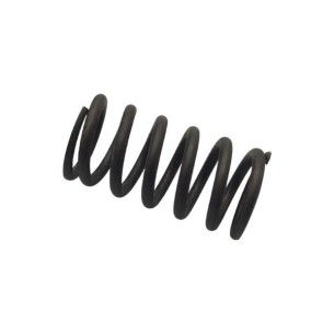 MUELLE LOMBARDINI ED0057550760-S