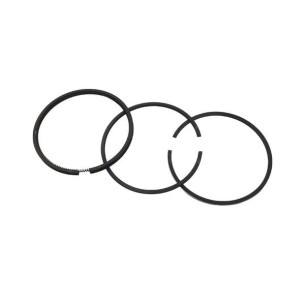 GAME SEGMENTS +1.00 LOMBARDINI: 6LD360 (3 AROS)