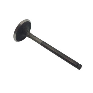 VÁLVULA DE ESCAPE LOMBARDINI: 12LD477-2