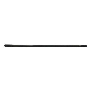 LOMBARDINI ASPARAGUS ED00684R0110-S