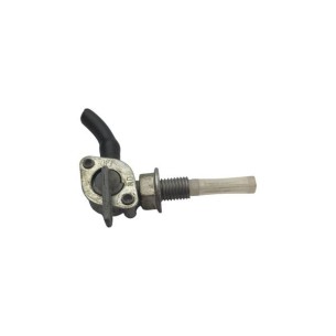 GASOLINA LOMBARDINI ED0077550620-S