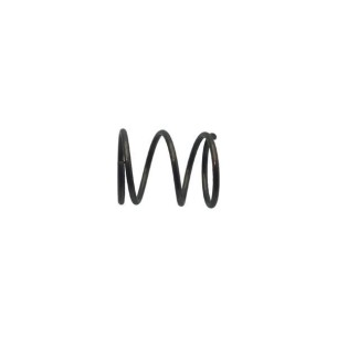 MUELLE LOMBARDINI ED0055750060-S
