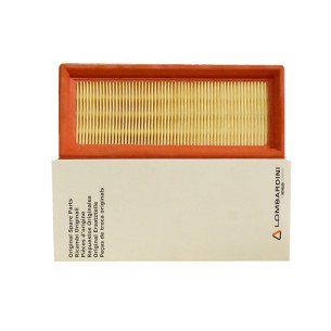 LOMBARDINI LUFTFILTER 2175253