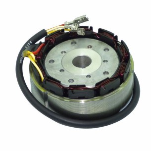 LICHTMASCHINE 12V 21A - 3 LOMBARDINI-KABEL: 11LD625-3,11LD626-3,5LD675-2,5LD675-3,5LD824-3/B,5LD825-2,